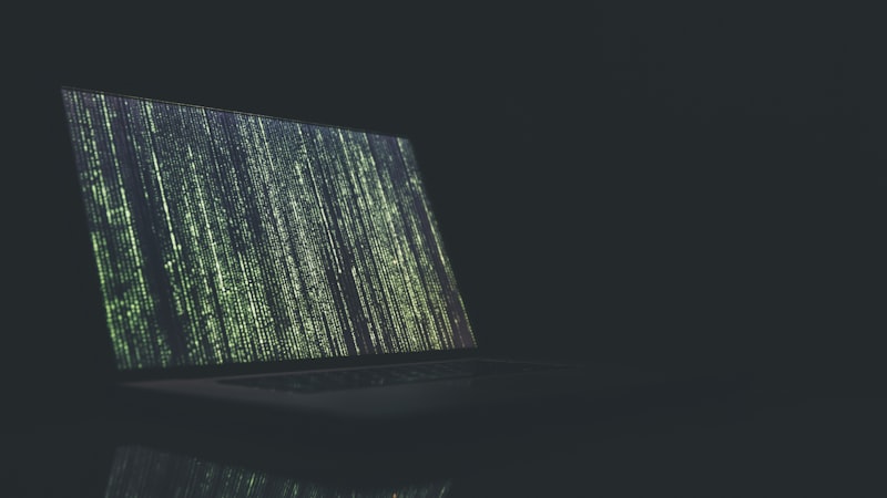 lewin乐玩平台现场真人娱乐场游戏实景